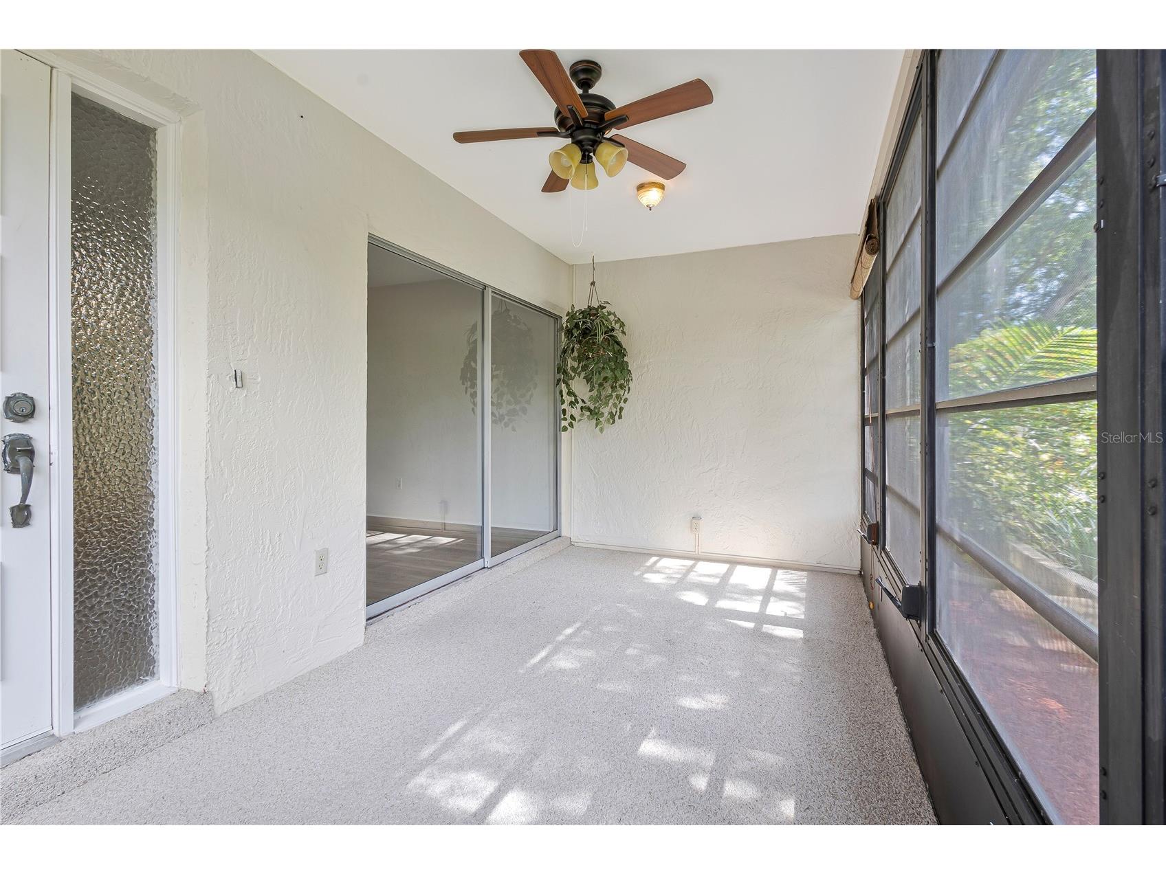 2261 Shelly Drive #D Palm Harbor FL 34684 TB8503311 image14