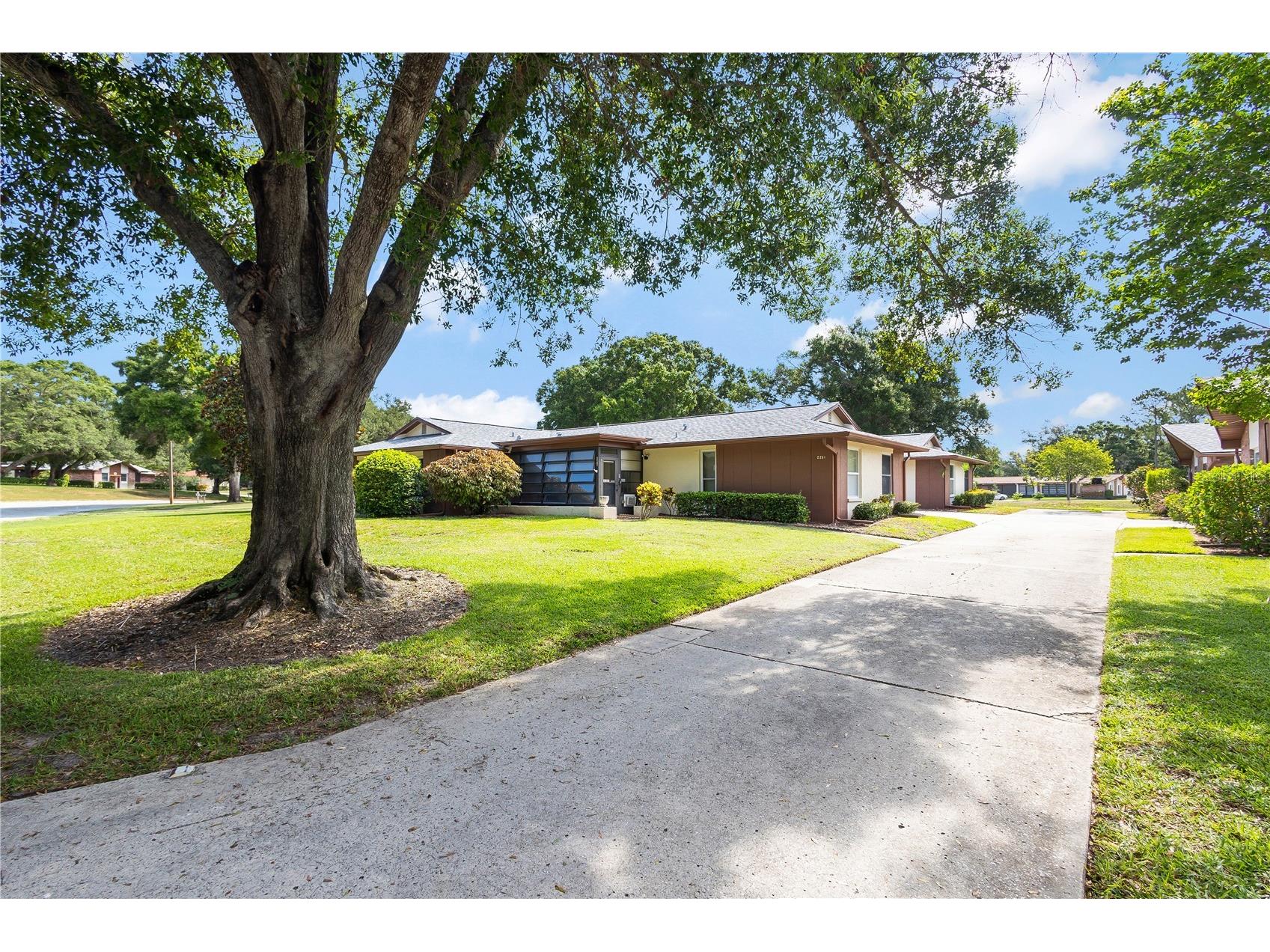 2261 Shelly Drive #D Palm Harbor FL 34684 TB8503311 image28