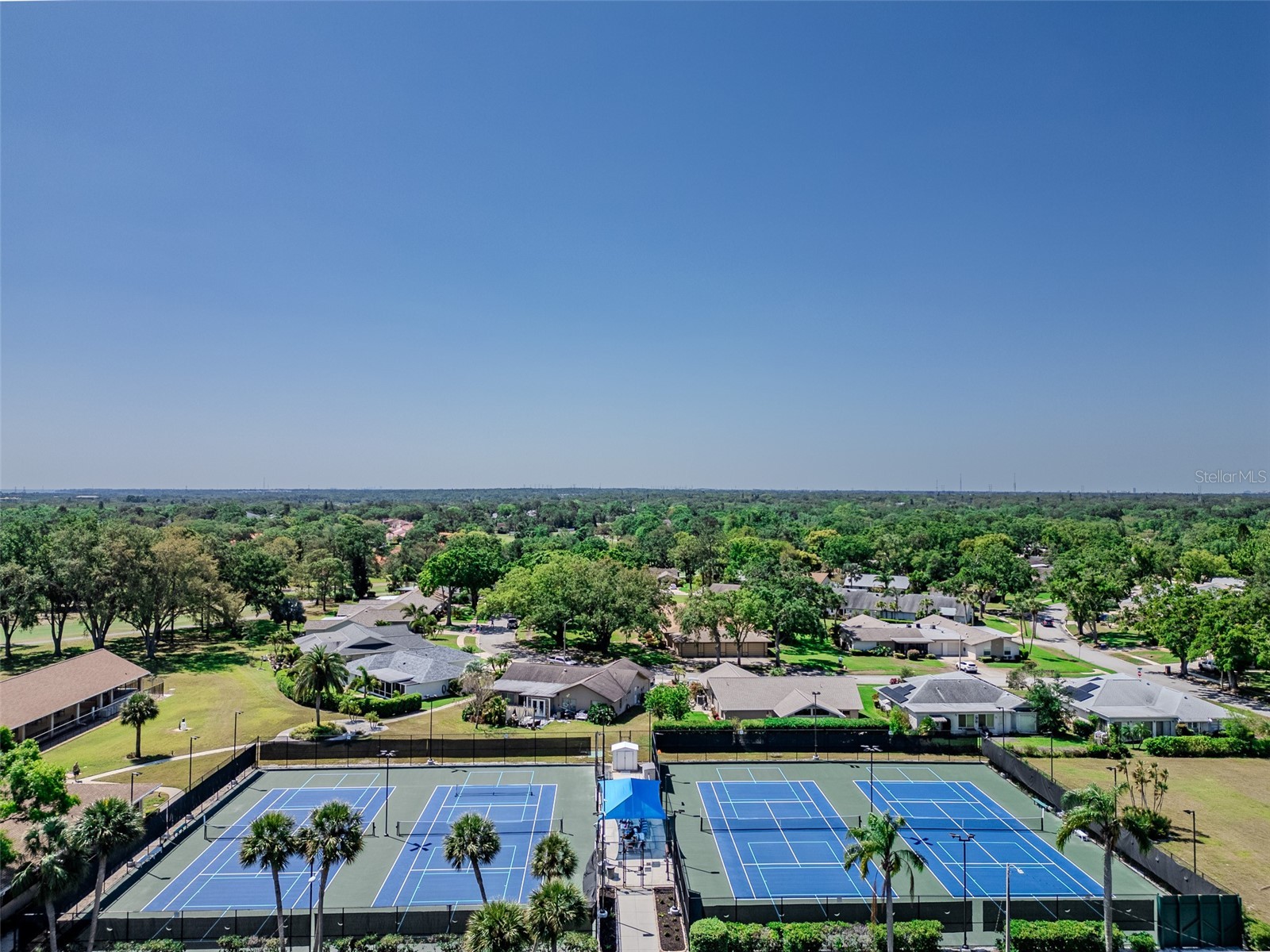 2261 Shelly Drive #D Palm Harbor FL 34684 TB8503311 image32