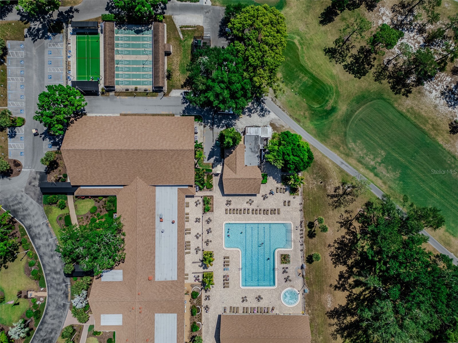 2261 Shelly Drive #D Palm Harbor FL 34684 TB8503311 image33