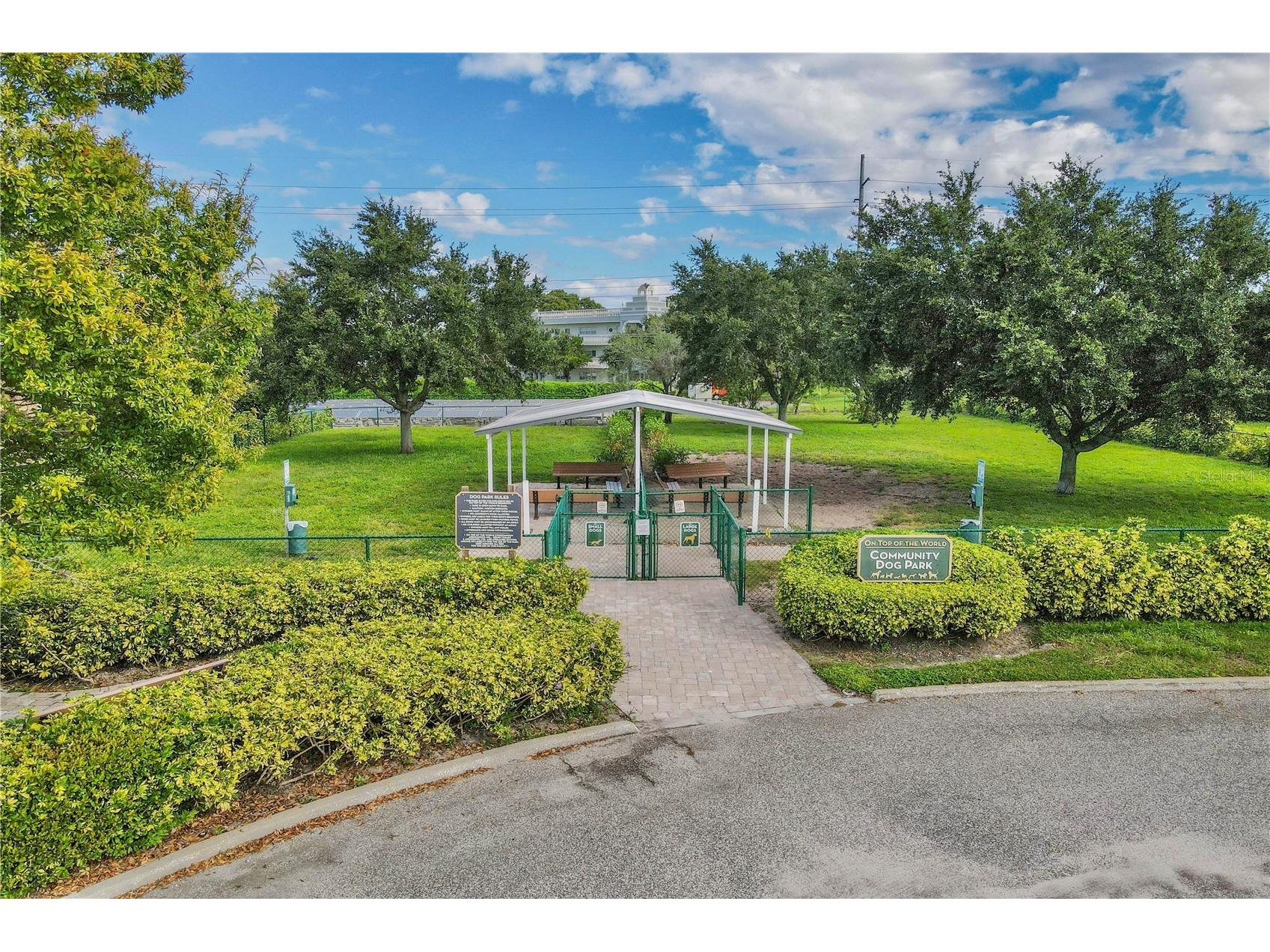 2261 Swedish Drive #21 Clearwater FL 33763 TB8473718 image41