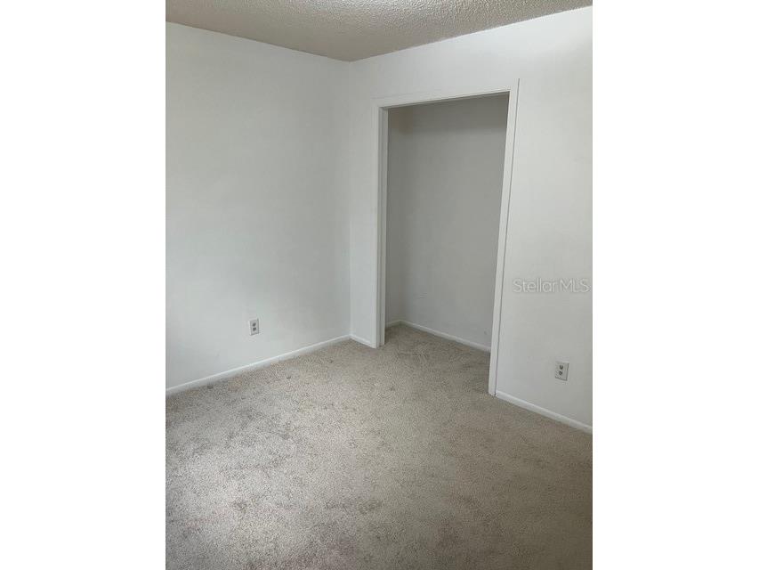 2261 Viento Street Orlando FL 32822 A4694245 image7