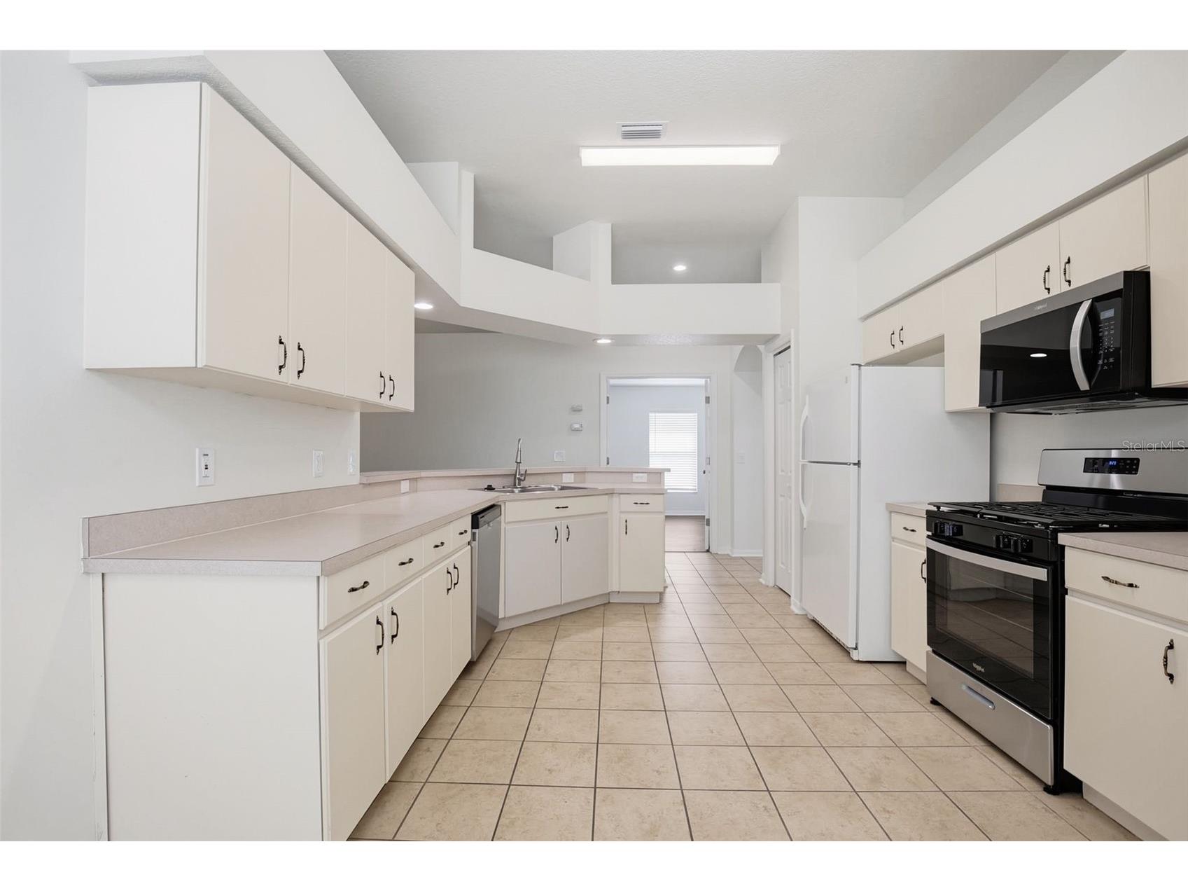 22611 Roderick Drive Land O Lakes FL 34639 O6403936 image11