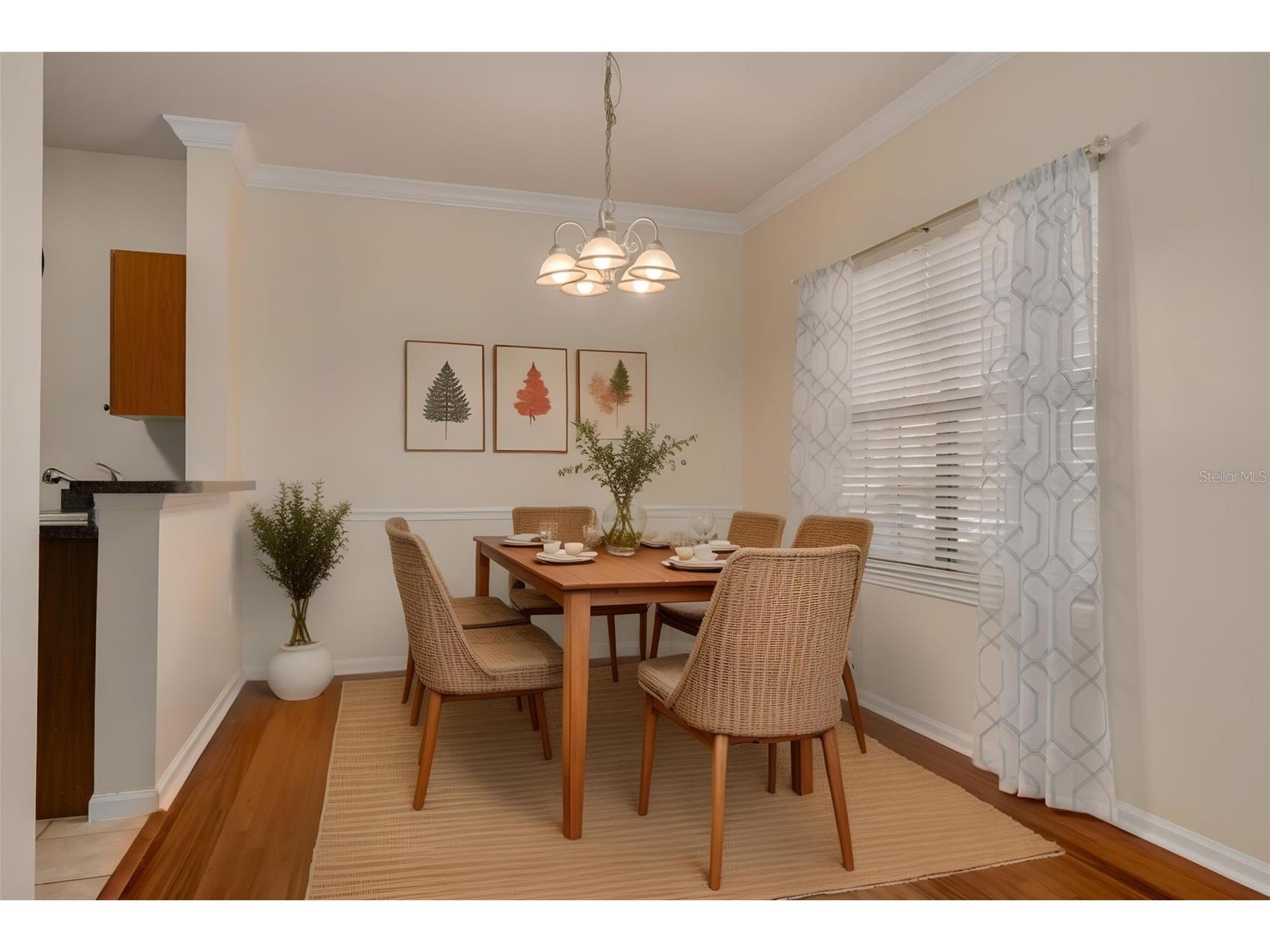 2262 Chianti Place #5-0511 Palm Harbor FL 34683 TB8517806 image11