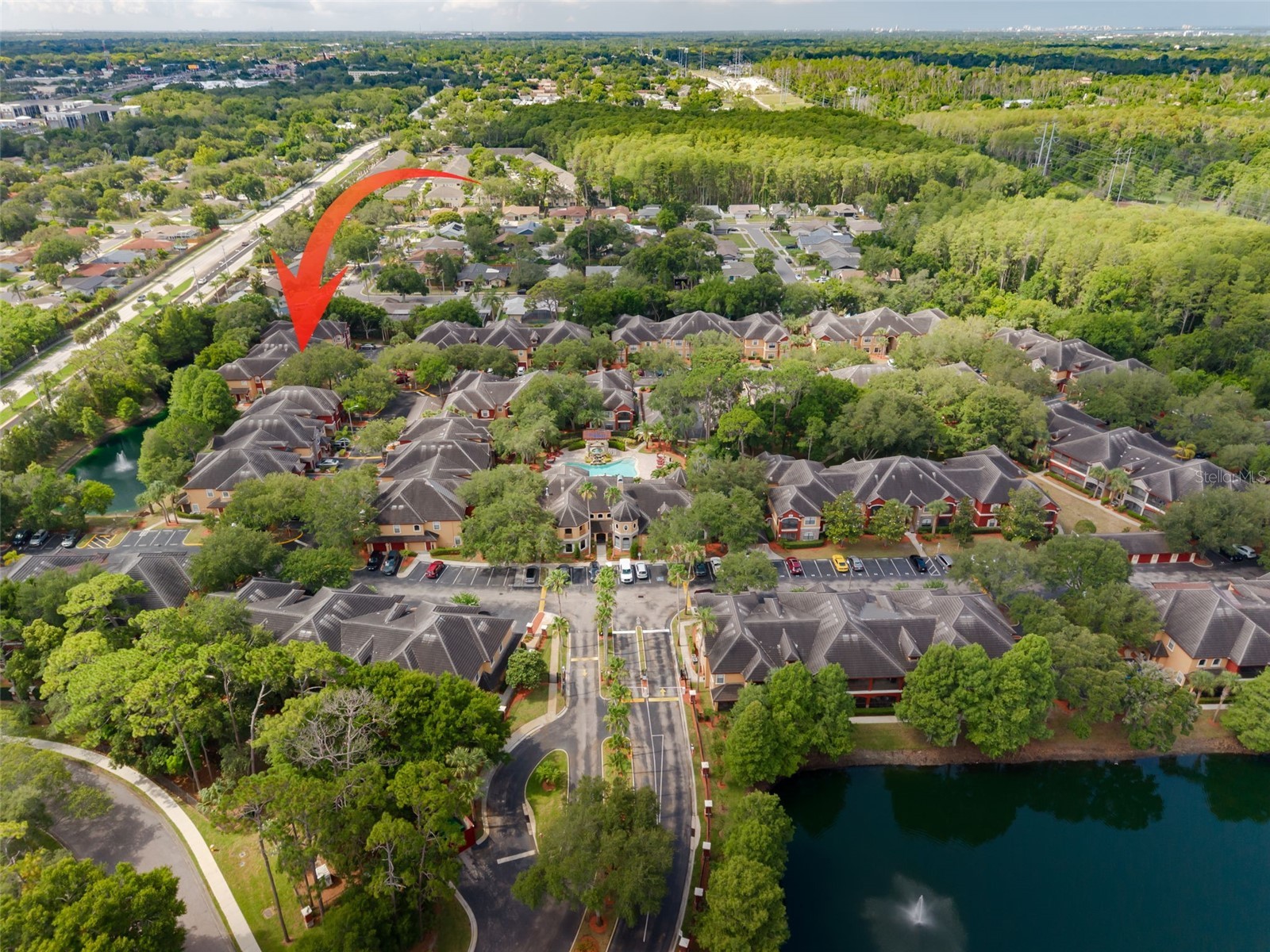 2262 Chianti Place #5-0511 Palm Harbor FL 34683 TB8517806 image29