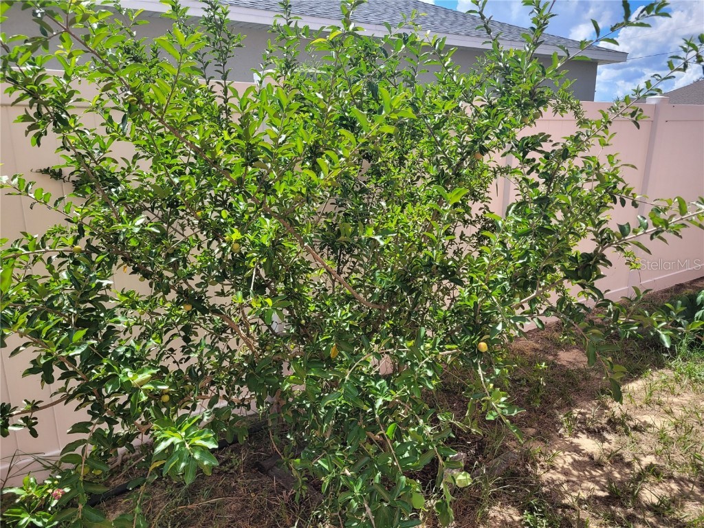 2262 Pecos Court Kissimmee FL 34759 OM710196 image52