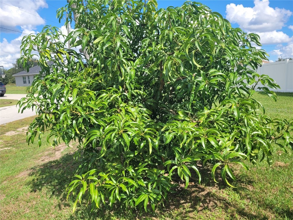 2262 Pecos Court Kissimmee FL 34759 OM710196 image54