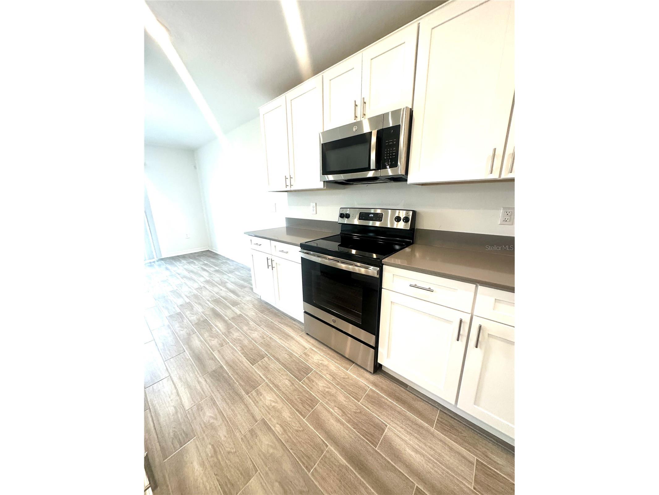 2262 Pigeon Plum Drive Haines City FL 33844 O6390304 image12