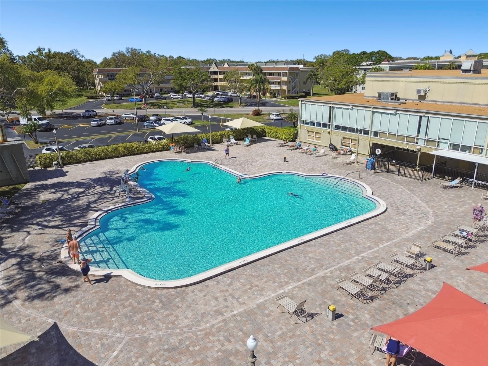 2262 Swedish Dr. #34 Clearwater FL 33763 TB8506446 image24