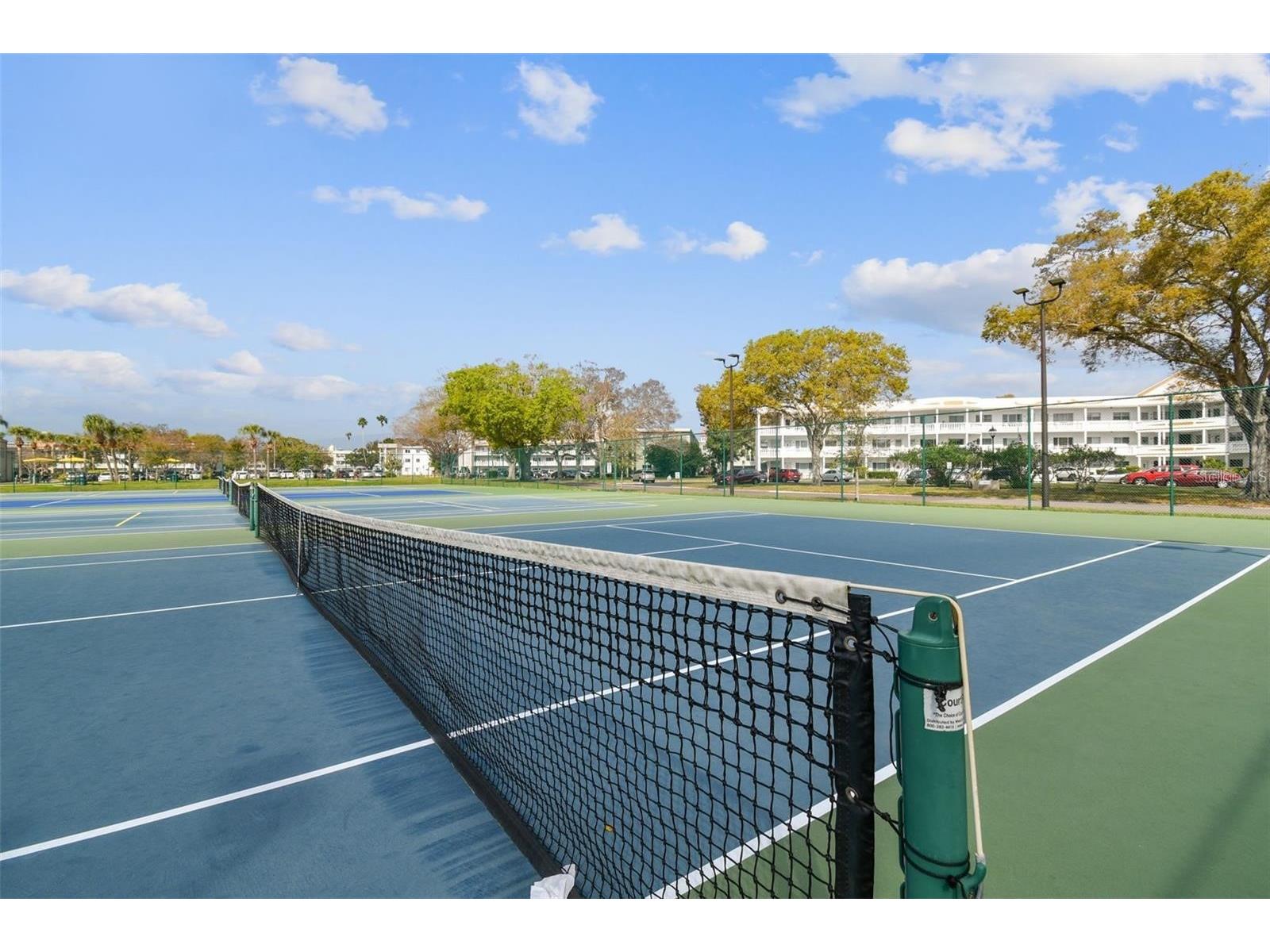 2262 Swedish Dr. #34 Clearwater FL 33763 TB8506446 image39