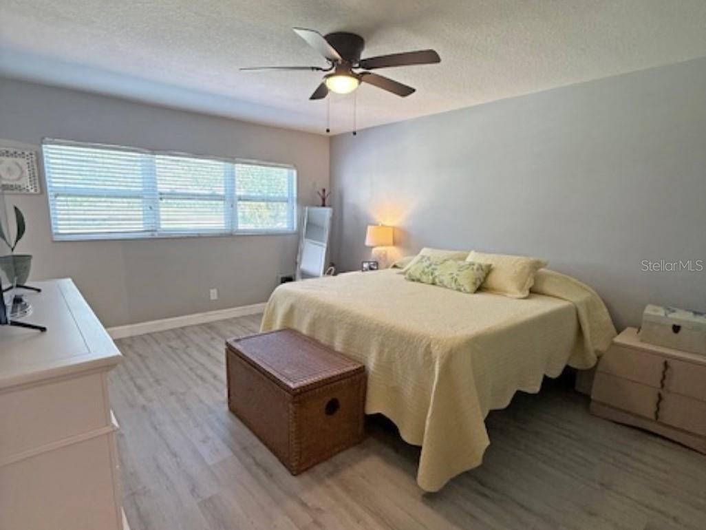 2262 Swedish Drive #14 Clearwater FL 33763 TB8465167 image14