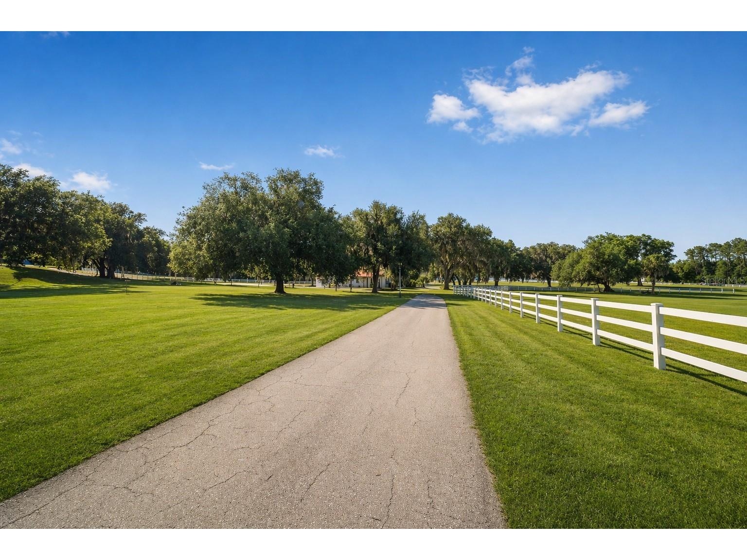 22620 Highway 441 N Micanopy FL 32667 OM723005 image34