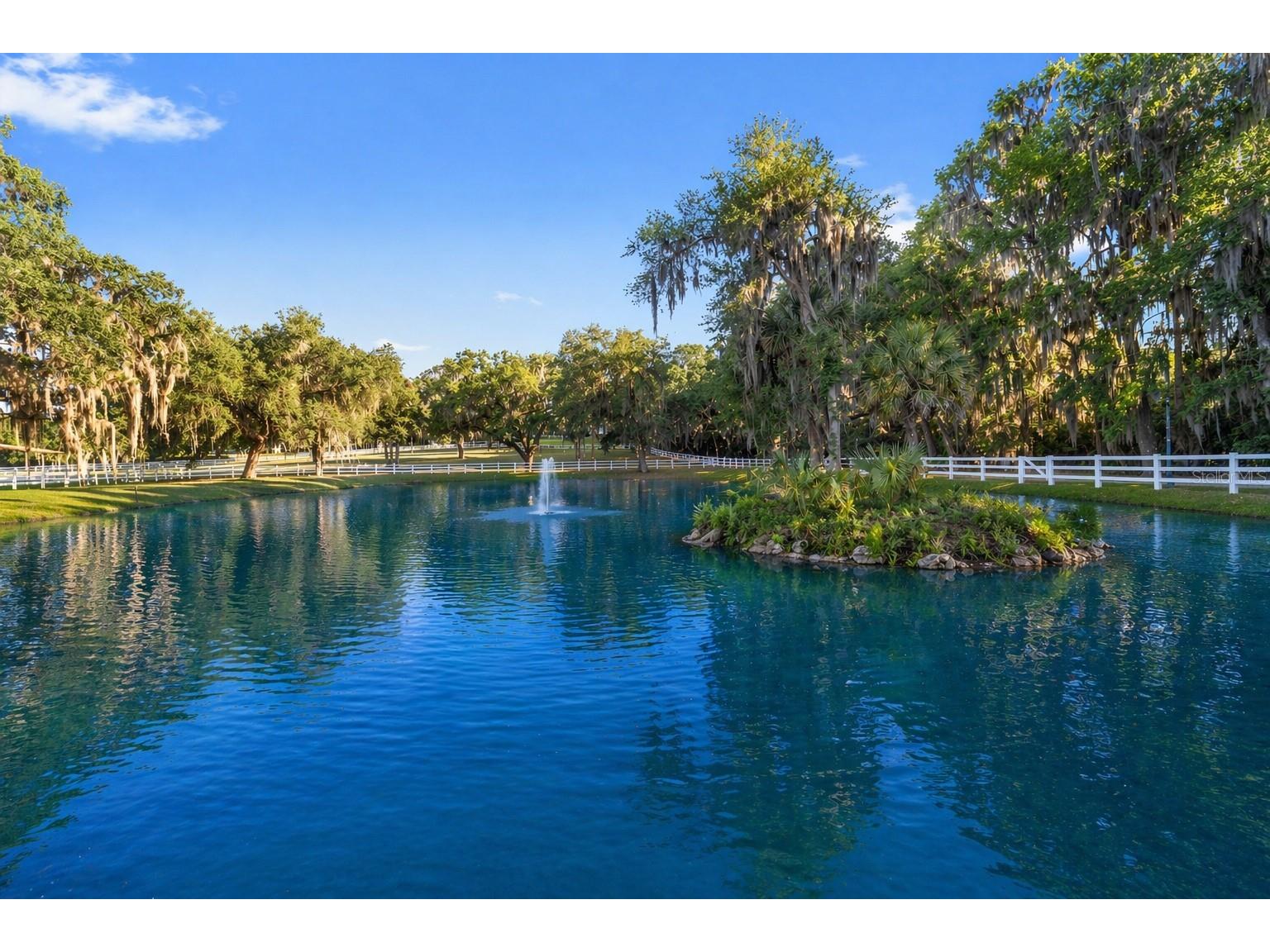 22620 Highway 441 N Micanopy FL 32667 OM723005 image48