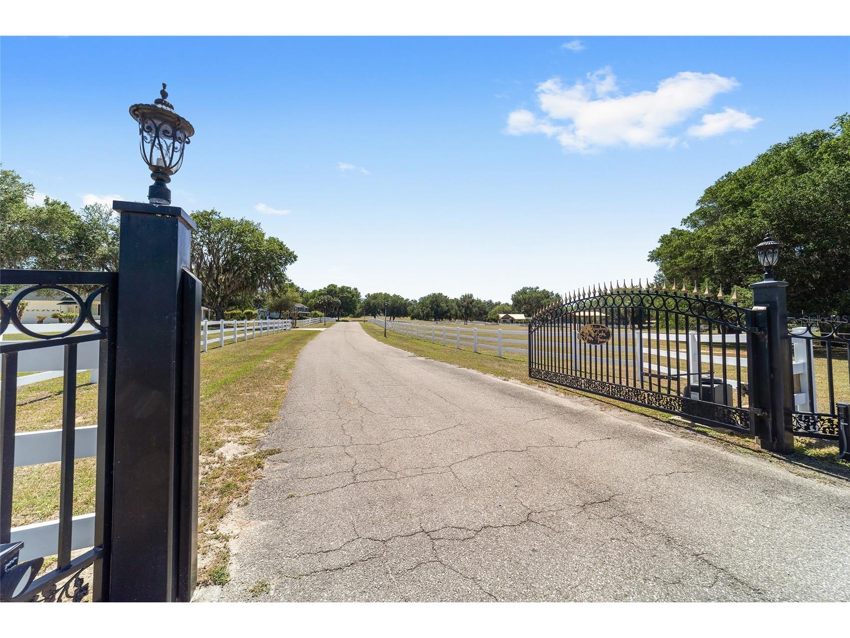 22620 Highway 441 N Micanopy FL 32667 OM723005 image58