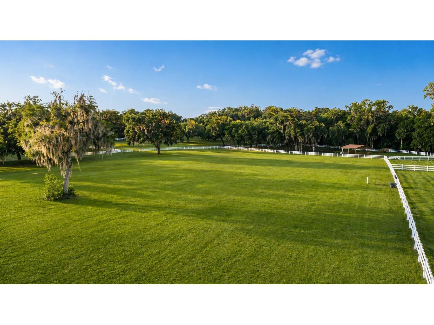22620 Highway 441 N Micanopy FL 32667 OM723005 image6