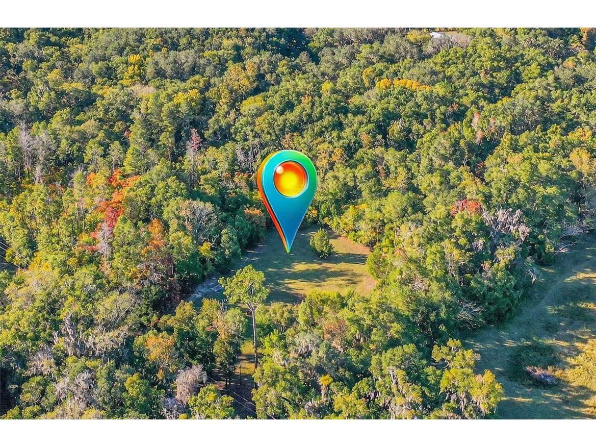 22620 NW 22nd Avenue Newberry FL 32669 GC534410 image2