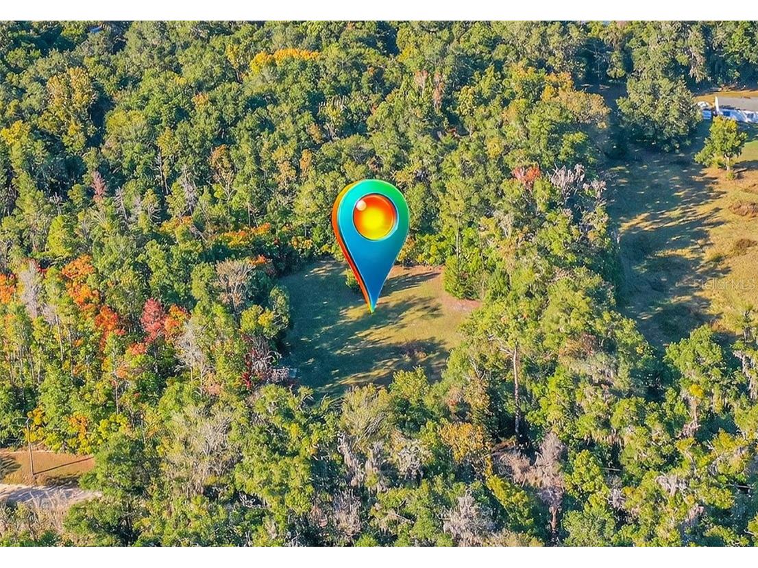 22620 NW 22nd Avenue Newberry FL 32669 GC534410 image4