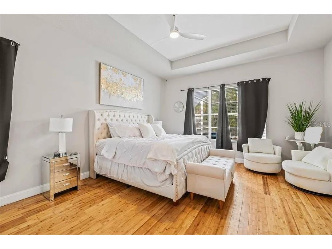 22623 Cliffside Way Land O Lakes FL 34639 TB8402959 image31