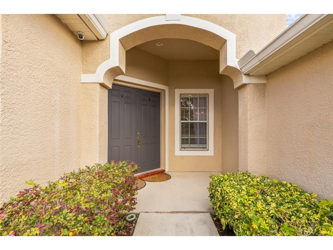 22623 Cliffside Way Land O Lakes FL 34639 TB8402959 image4