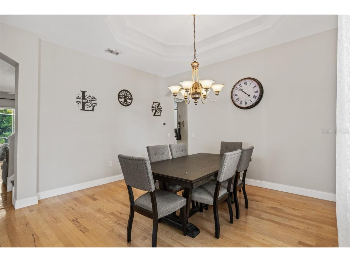 22623 Cliffside Way Land O Lakes FL 34639 TB8402959 image6