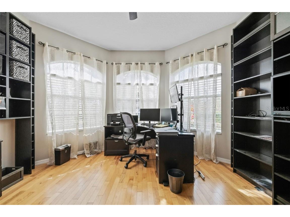 22623 Cliffside Way Land O Lakes FL 34639 TB8402959 image7