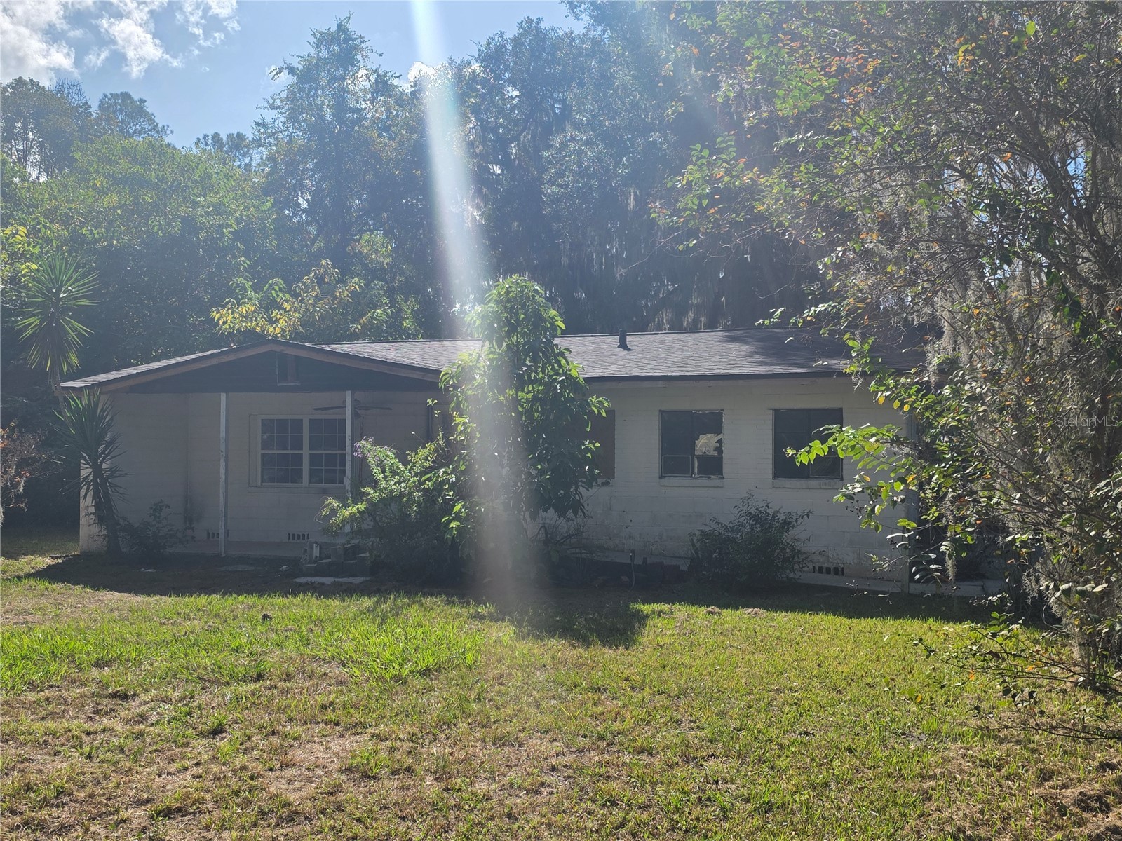 22629 SE 71st Avenue Hawthorne FL 32640 O6377634 image1
