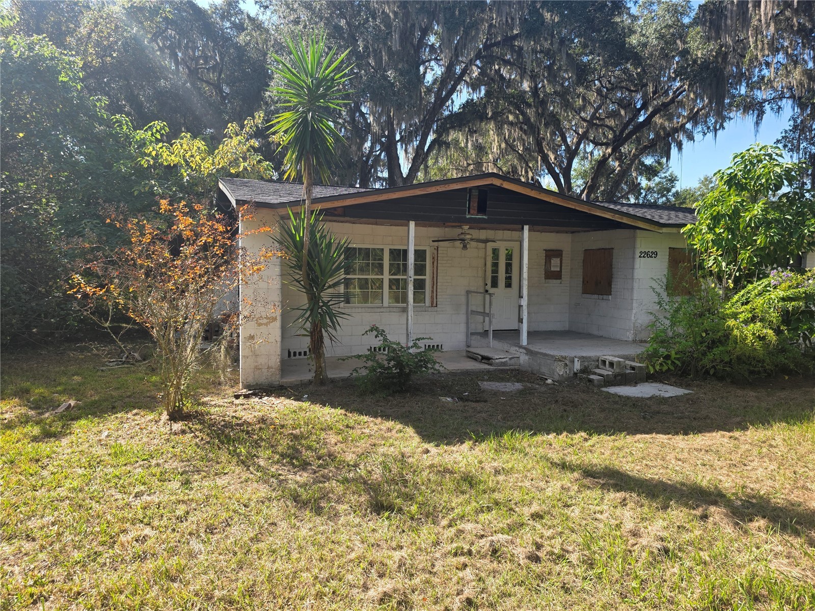 22629 SE 71st Avenue Hawthorne FL 32640 O6377634 image2