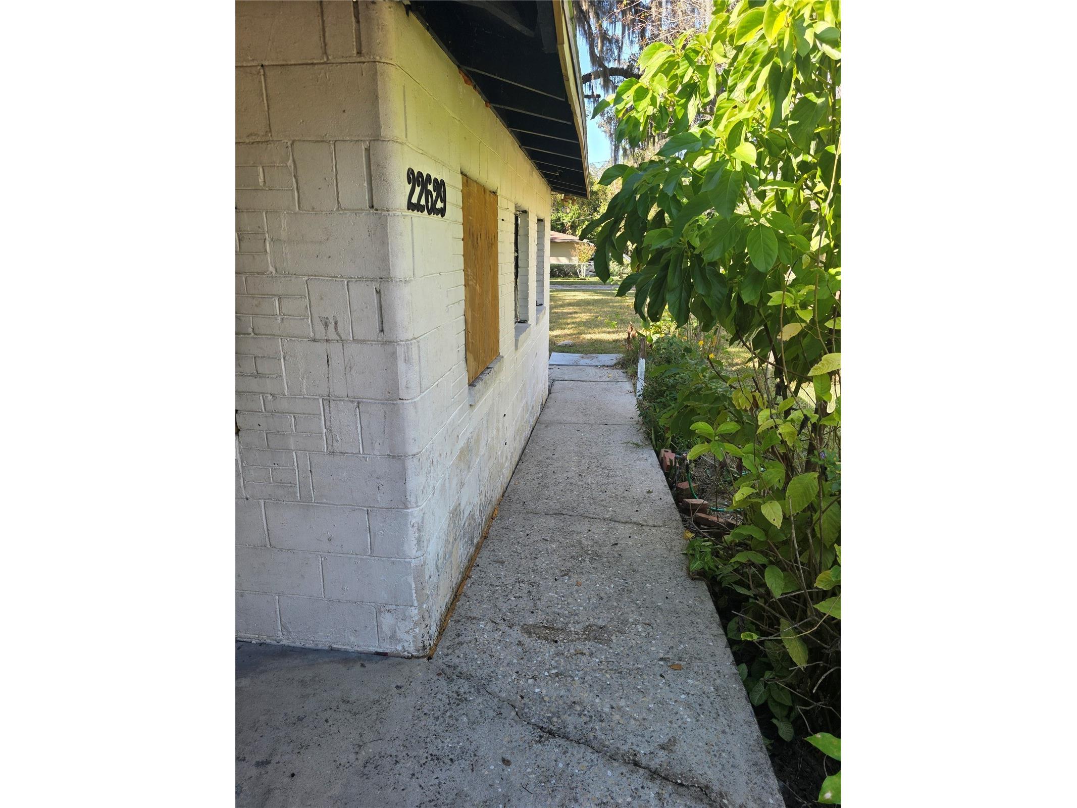22629 SE 71st Avenue Hawthorne FL 32640 O6377634 image4