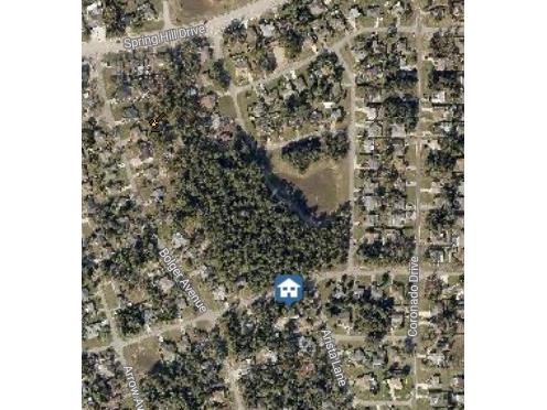 2263 Arista Lane Spring Hill FL 34609 W7883931 image3