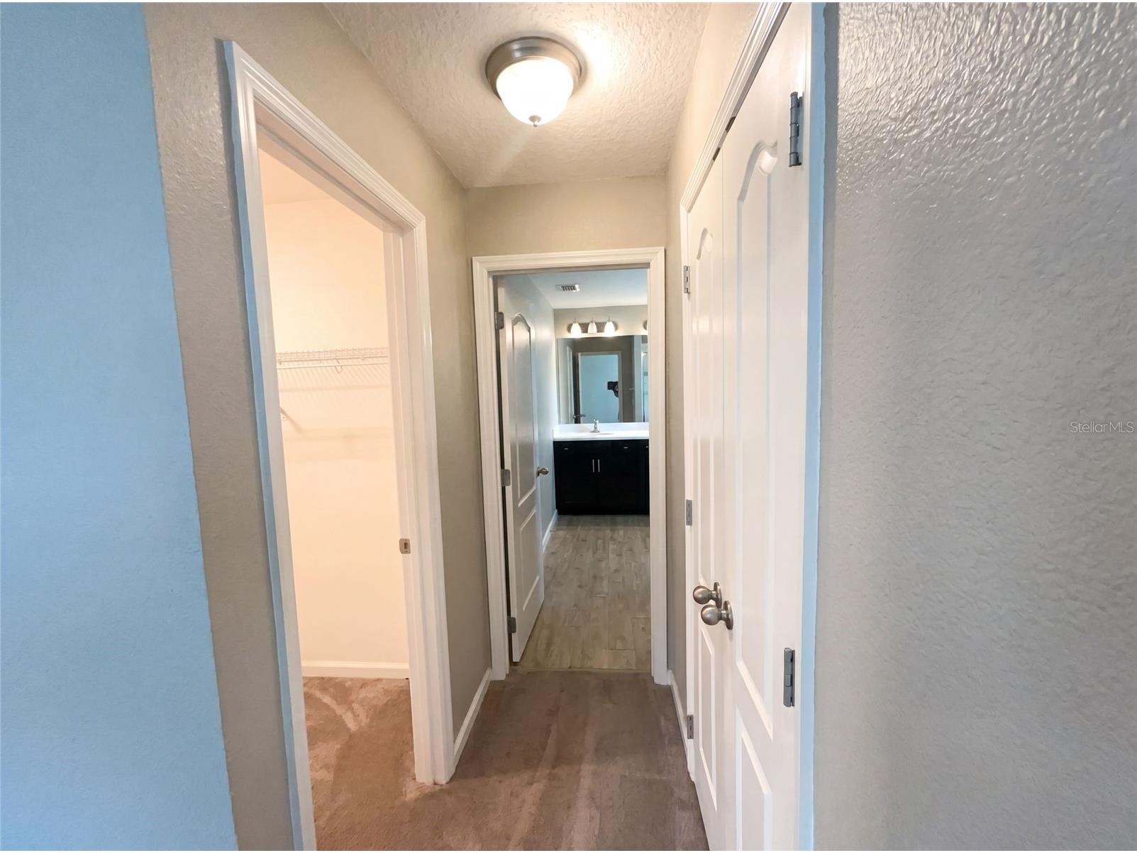 2264 Ficus Alley Apopka FL 32703 O6423700 image26