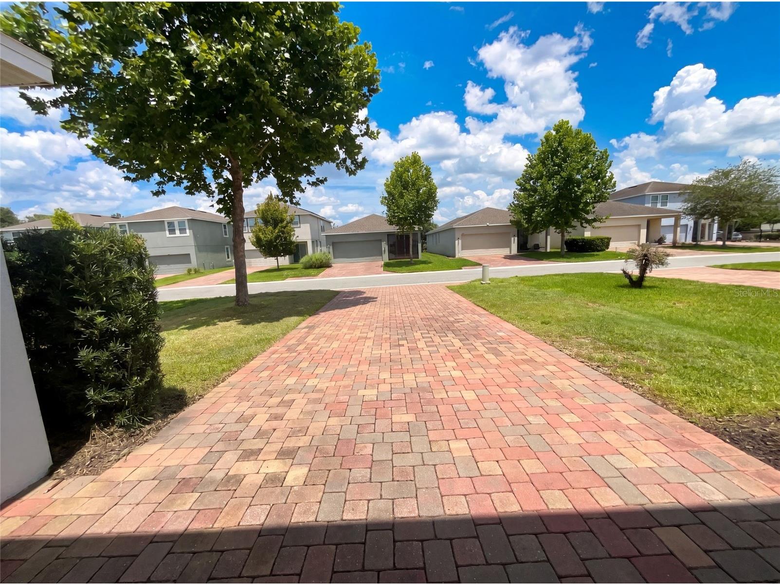 2264 Ficus Alley Apopka FL 32703 O6423700 image31