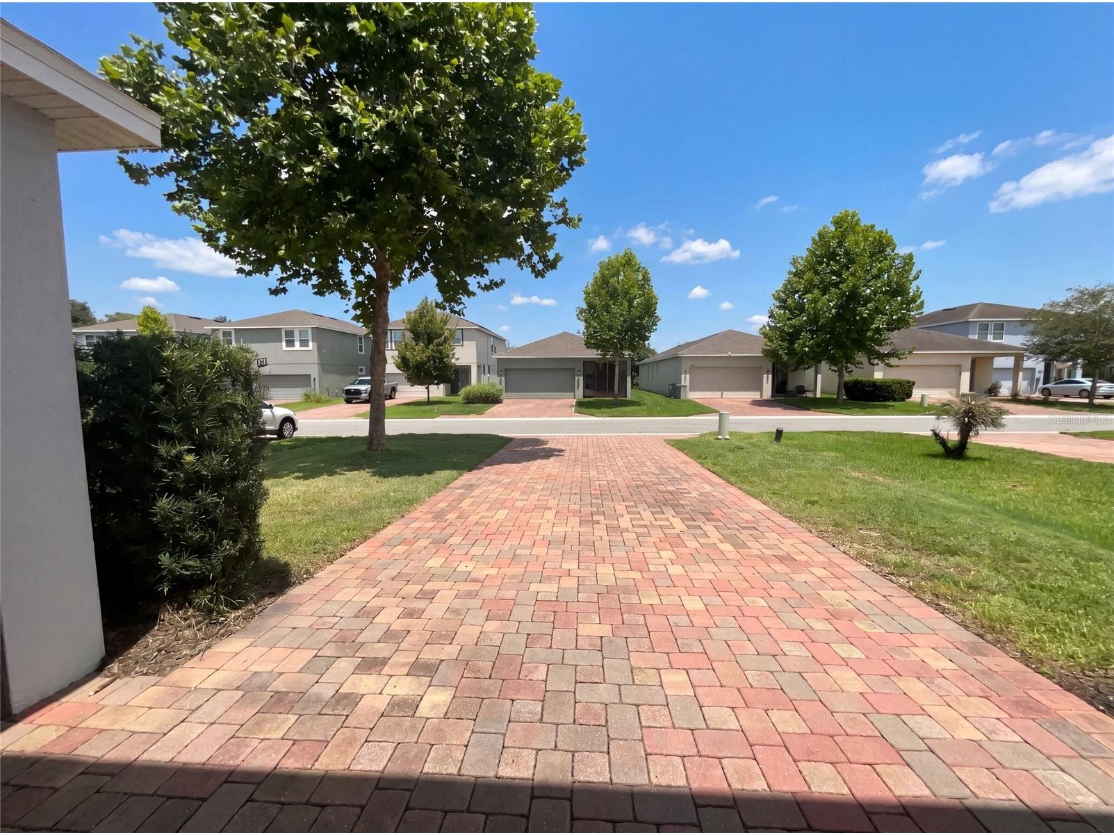 2264 Ficus Alley Apopka FL 32703 O6423700 image32