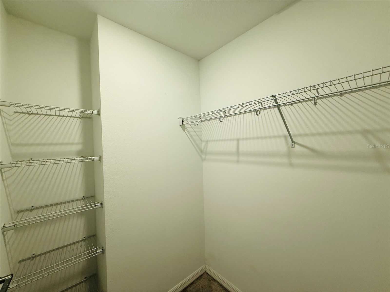 2264 Paravane Way Wesley Chapel FL 33543 TB8483031 image22