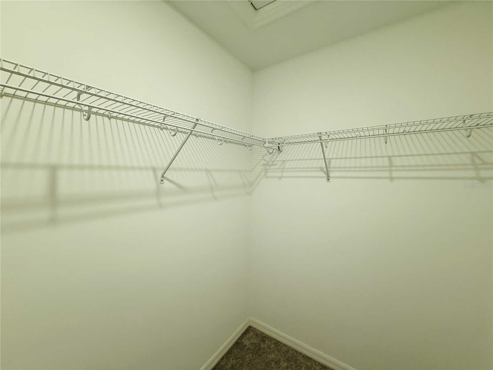 2264 Paravane Way Wesley Chapel FL 33543 TB8483031 image23