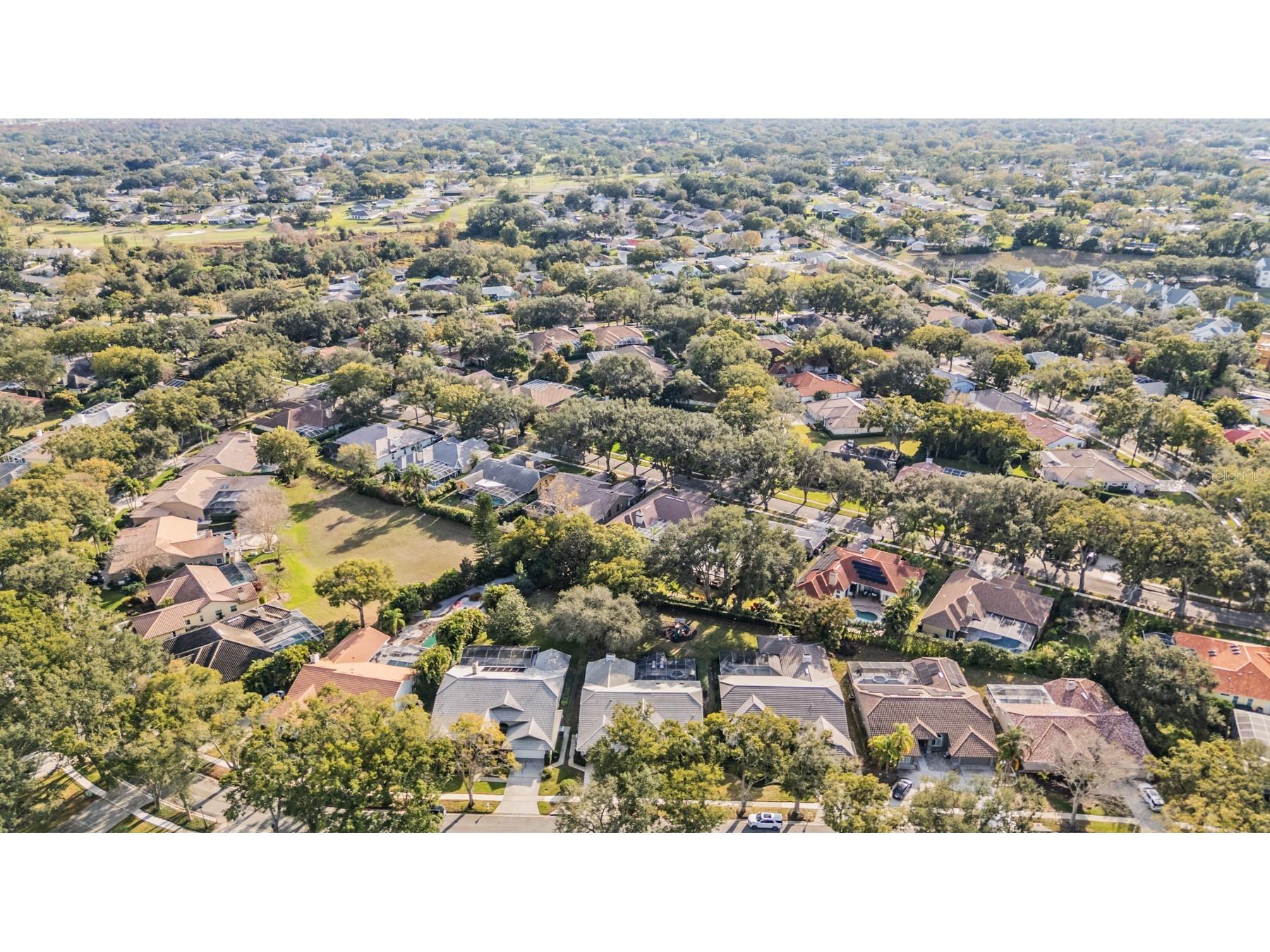 2264 Pinnacle Circle N Palm Harbor FL 34684 TB8464727 image31