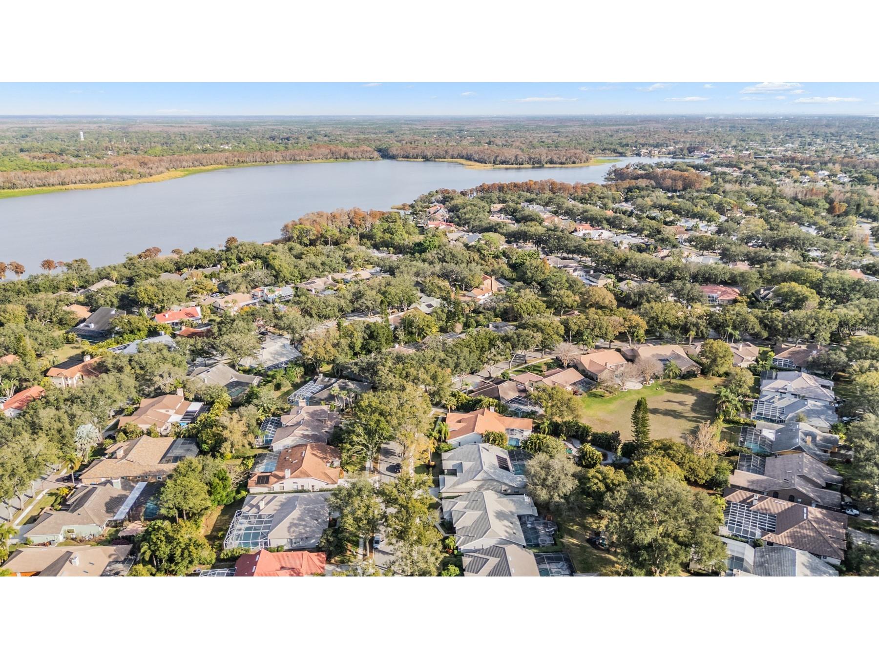 2264 Pinnacle Circle N Palm Harbor FL 34684 TB8464727 image32