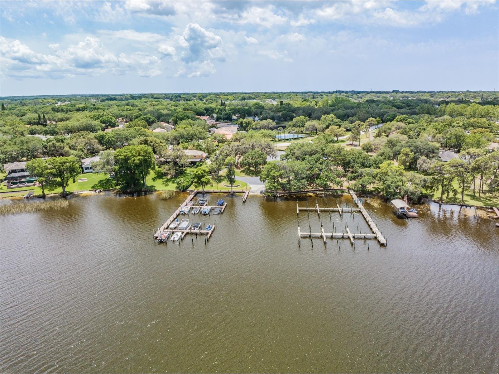 2264 Pinnacle Circle N Palm Harbor FL 34684 TB8464727 image41