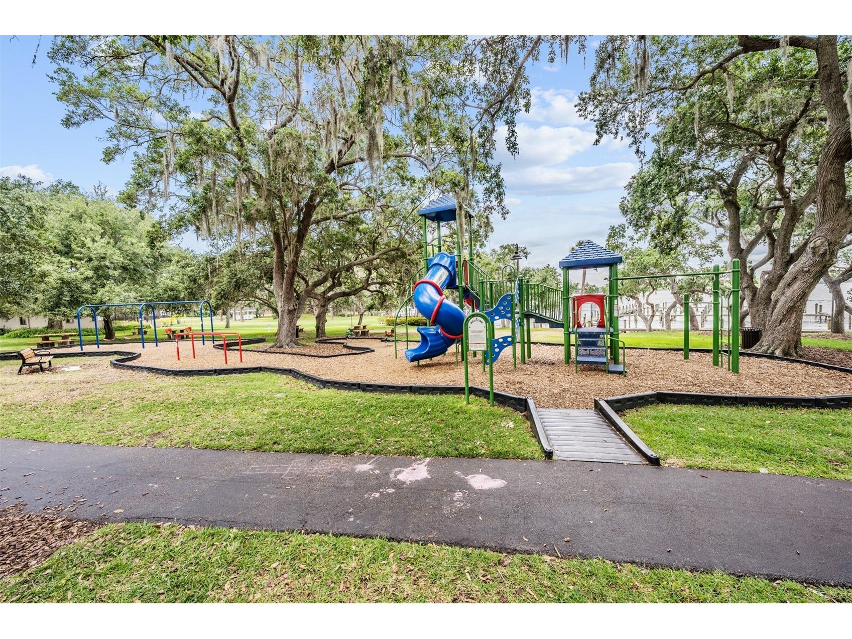 2264 Pinnacle Circle N Palm Harbor FL 34684 TB8464727 image42