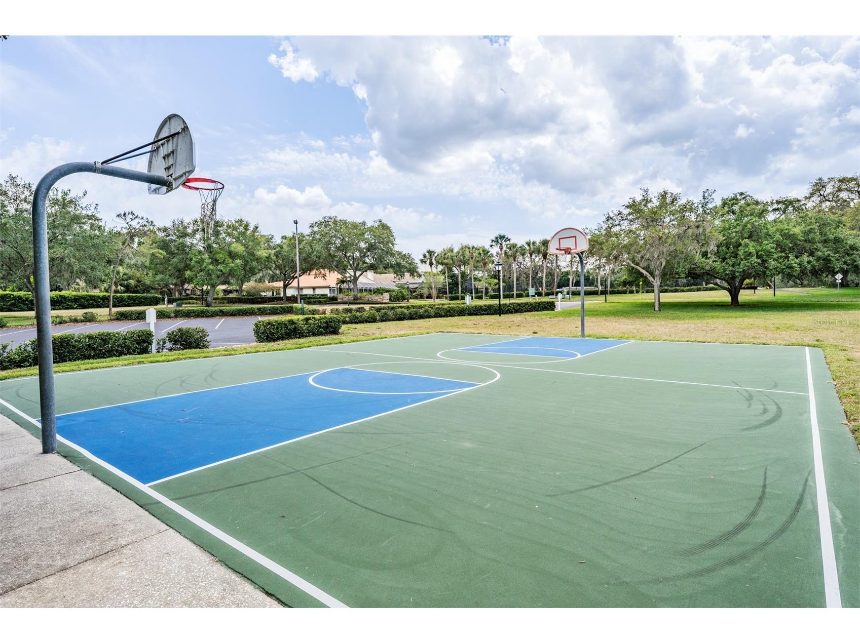 2264 Pinnacle Circle N Palm Harbor FL 34684 TB8464727 image44