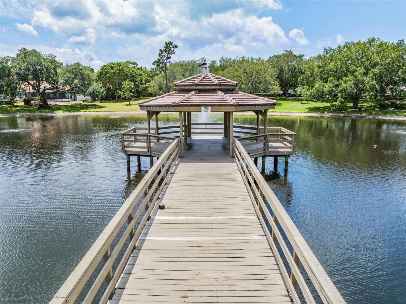 2264 Pinnacle Circle N Palm Harbor FL 34684 TB8464727 image45