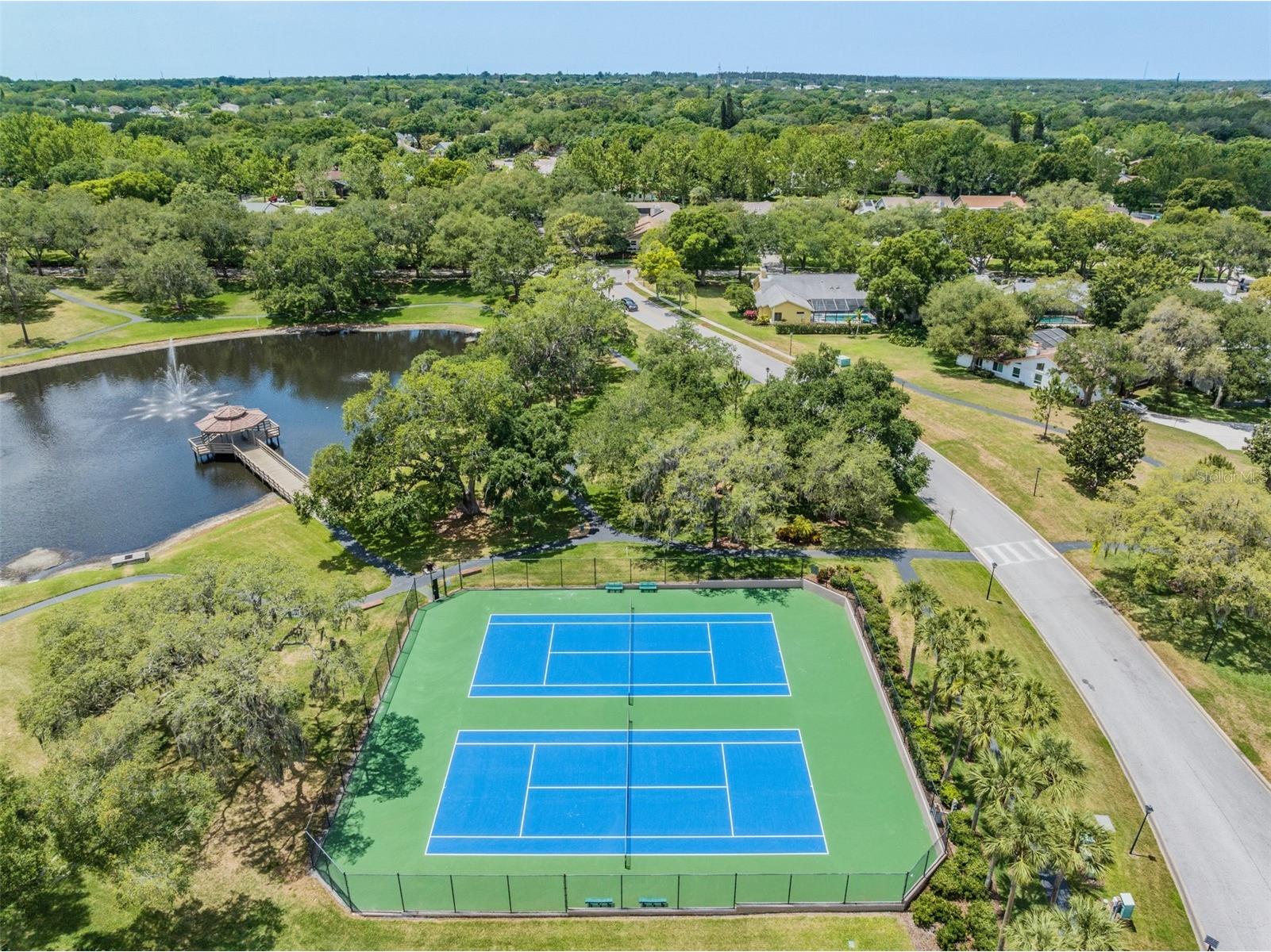 2264 Pinnacle Circle N Palm Harbor FL 34684 TB8464727 image46