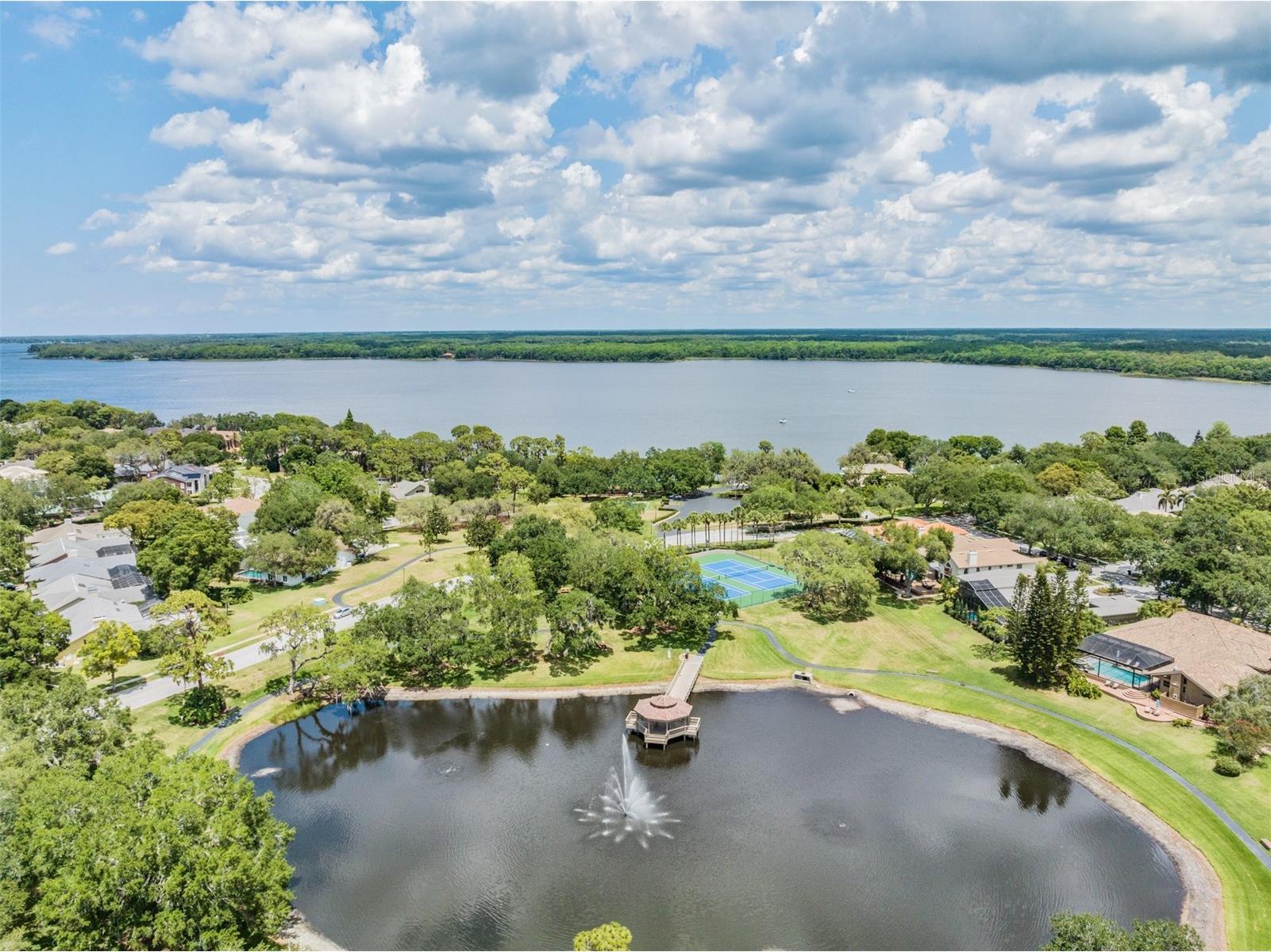 2264 Pinnacle Circle N Palm Harbor FL 34684 TB8464727 image47