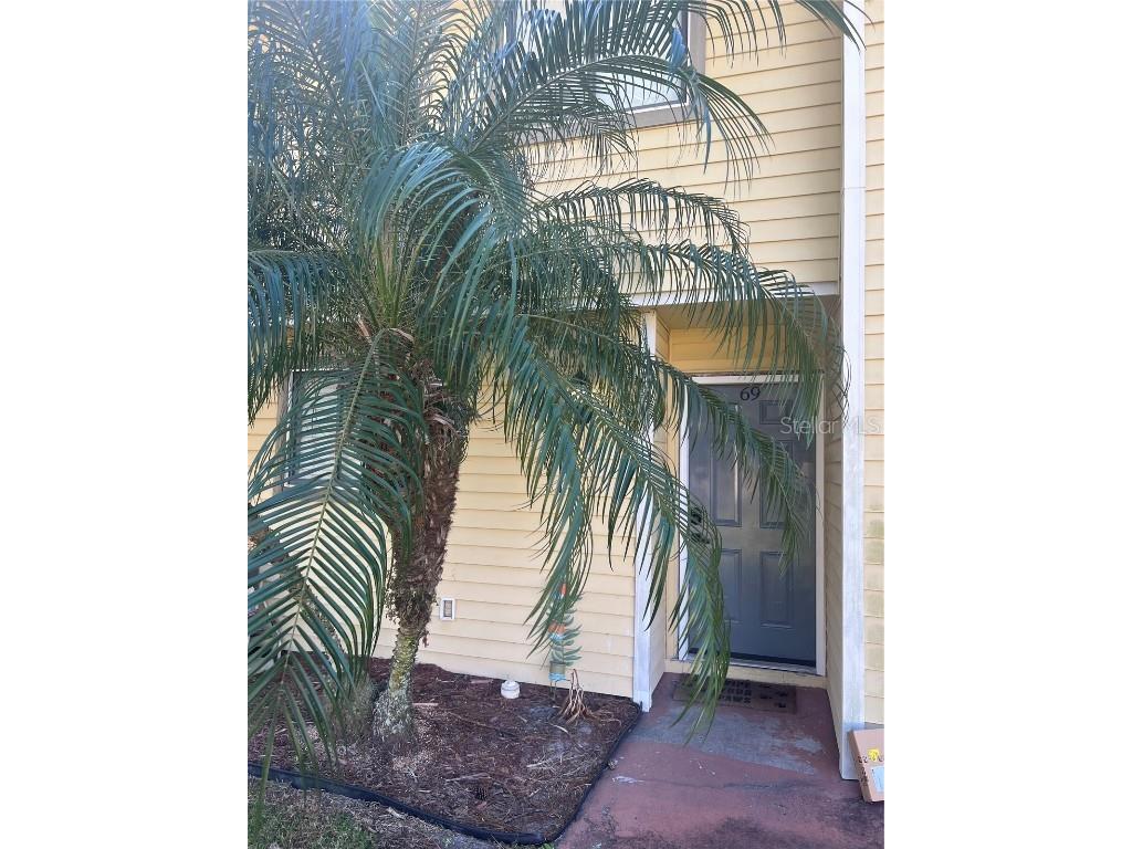 22640 Watersedge Boulevard #69 Land O Lakes FL 34639 T3484571 image1