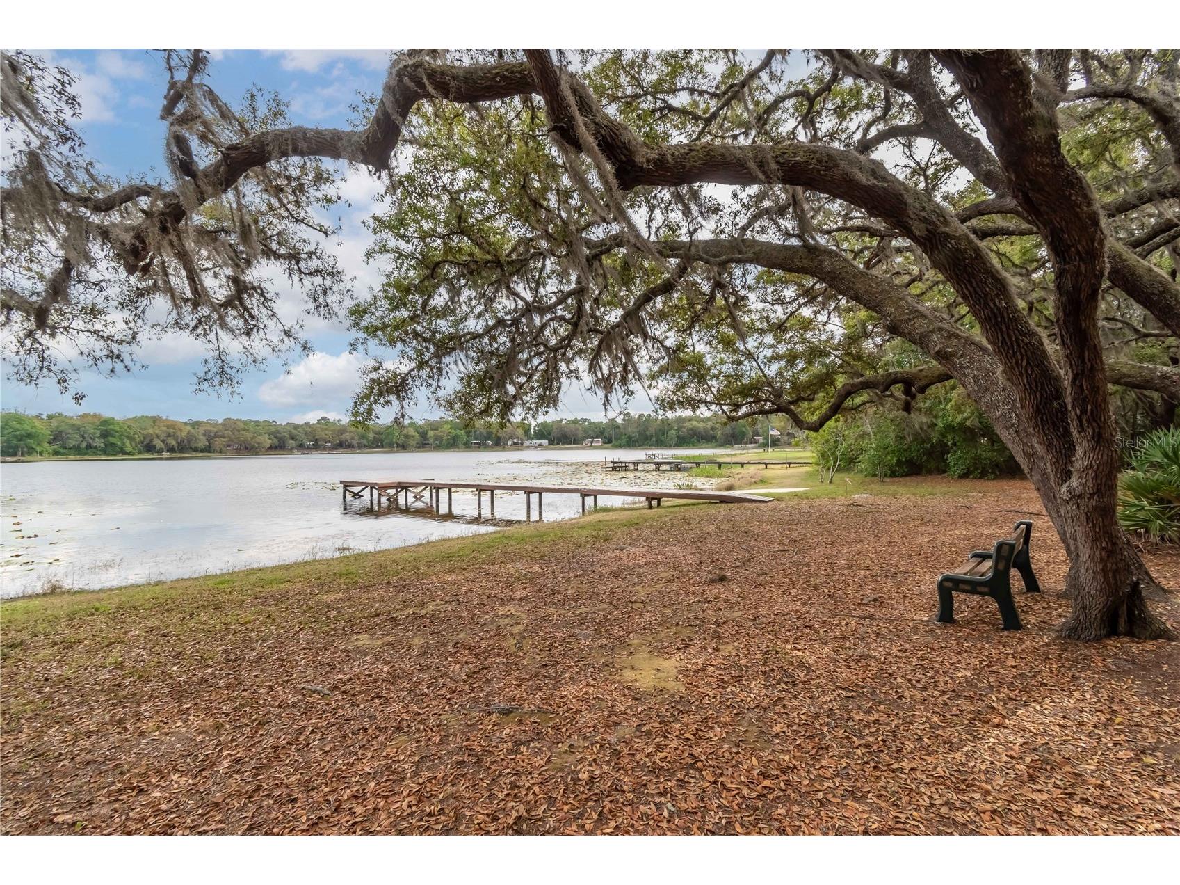 22649 22645 and TBD NE 105th Avenue Road Fort Mc Coy FL 32134 - MILE KALE LAKE OM656013 image7