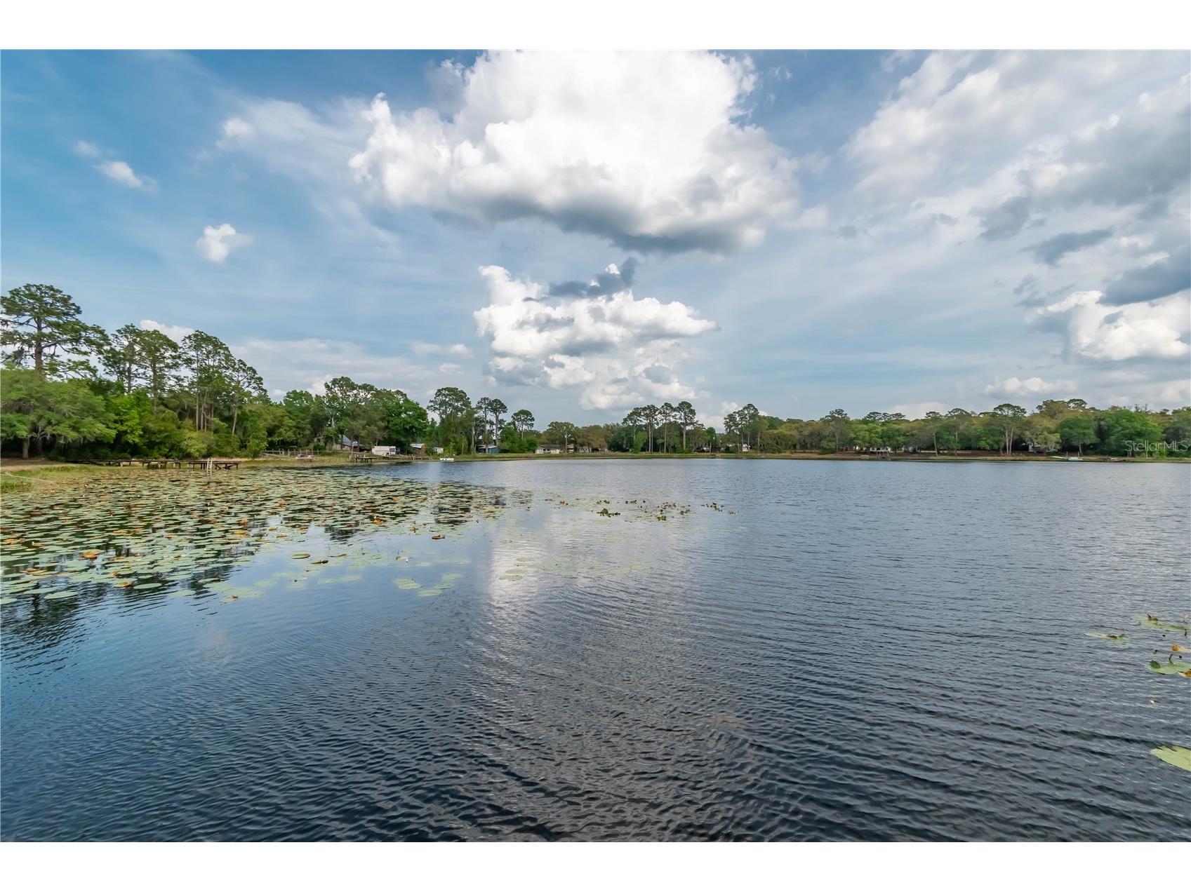 22649 NE 105th Avenue Road Fort Mc Coy FL 32134 - MILES KALE LAKE OM666026 image1