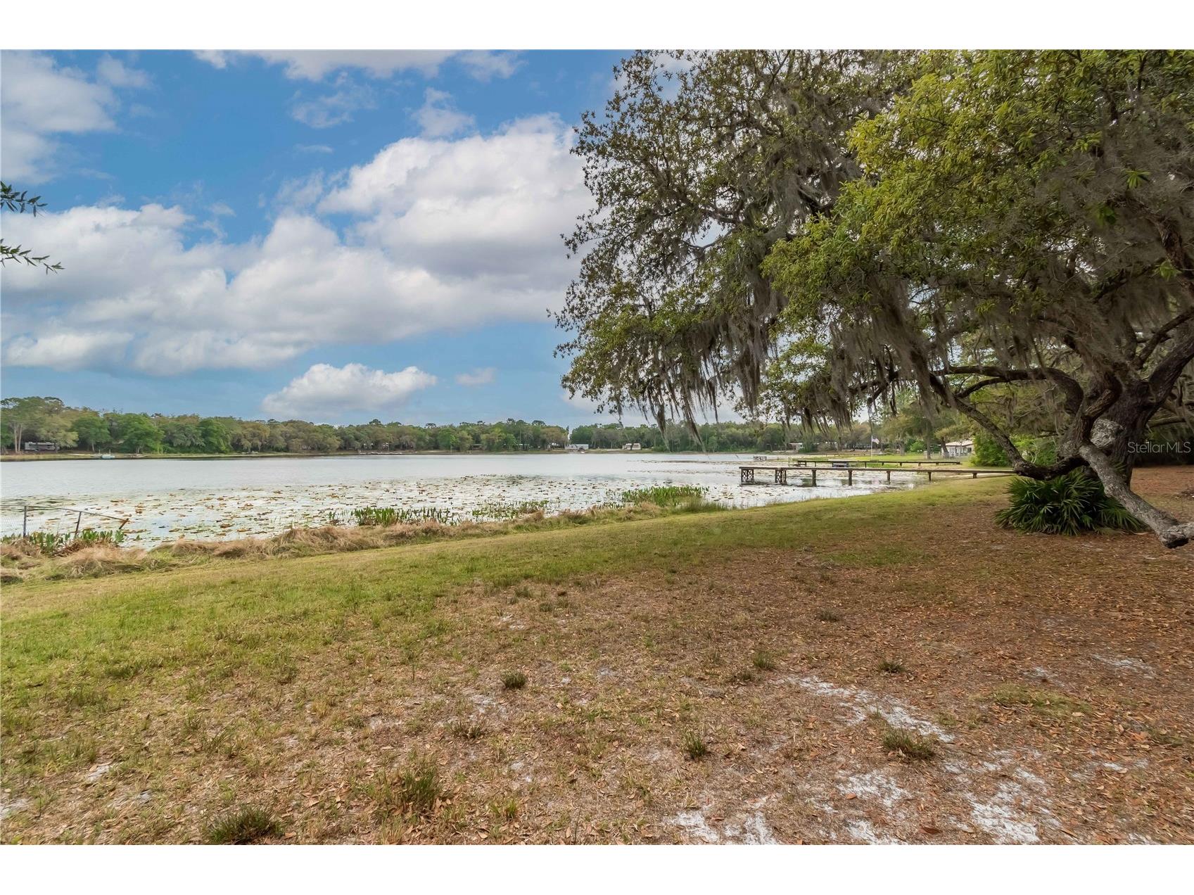 22649 NE 105th Avenue Road Fort Mc Coy FL 32134 - MILES KALE LAKE OM666026 image30