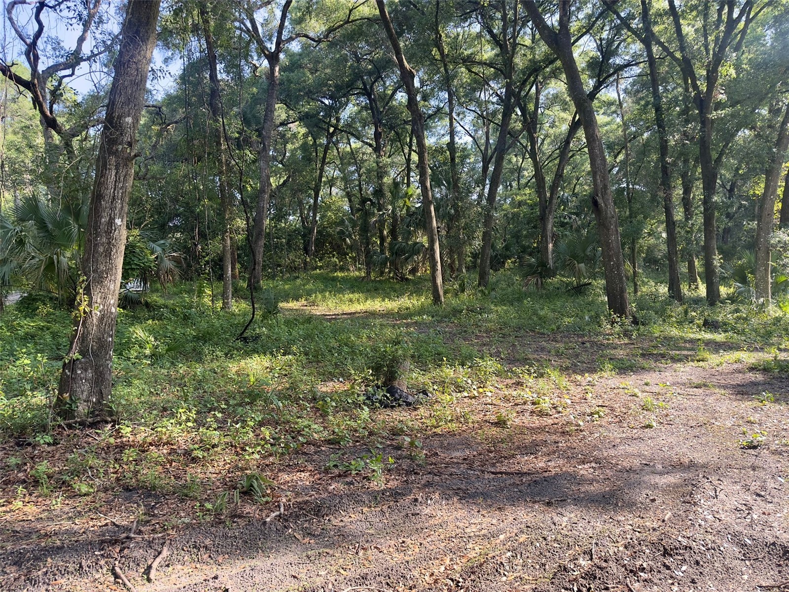 2265 Crooked Deland FL 32720 S5142606 image6