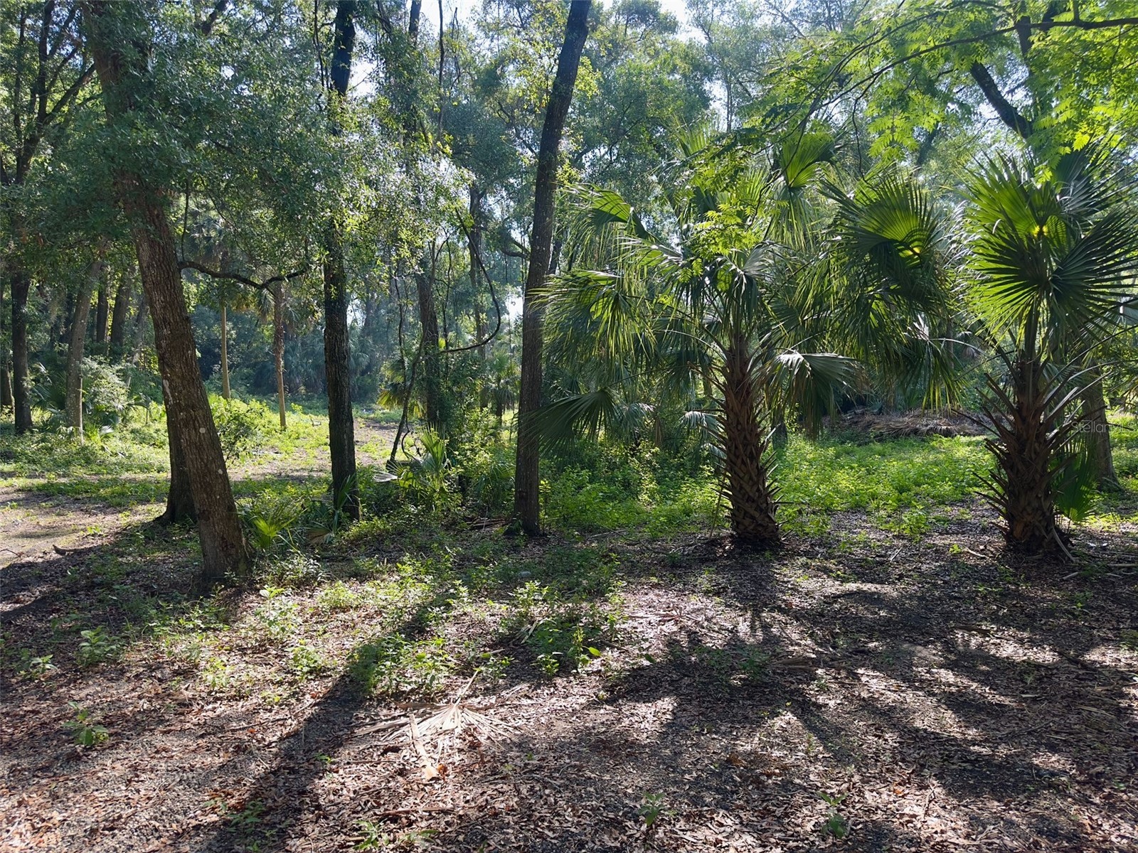 2265 Crooked Deland FL 32720 S5142606 image7