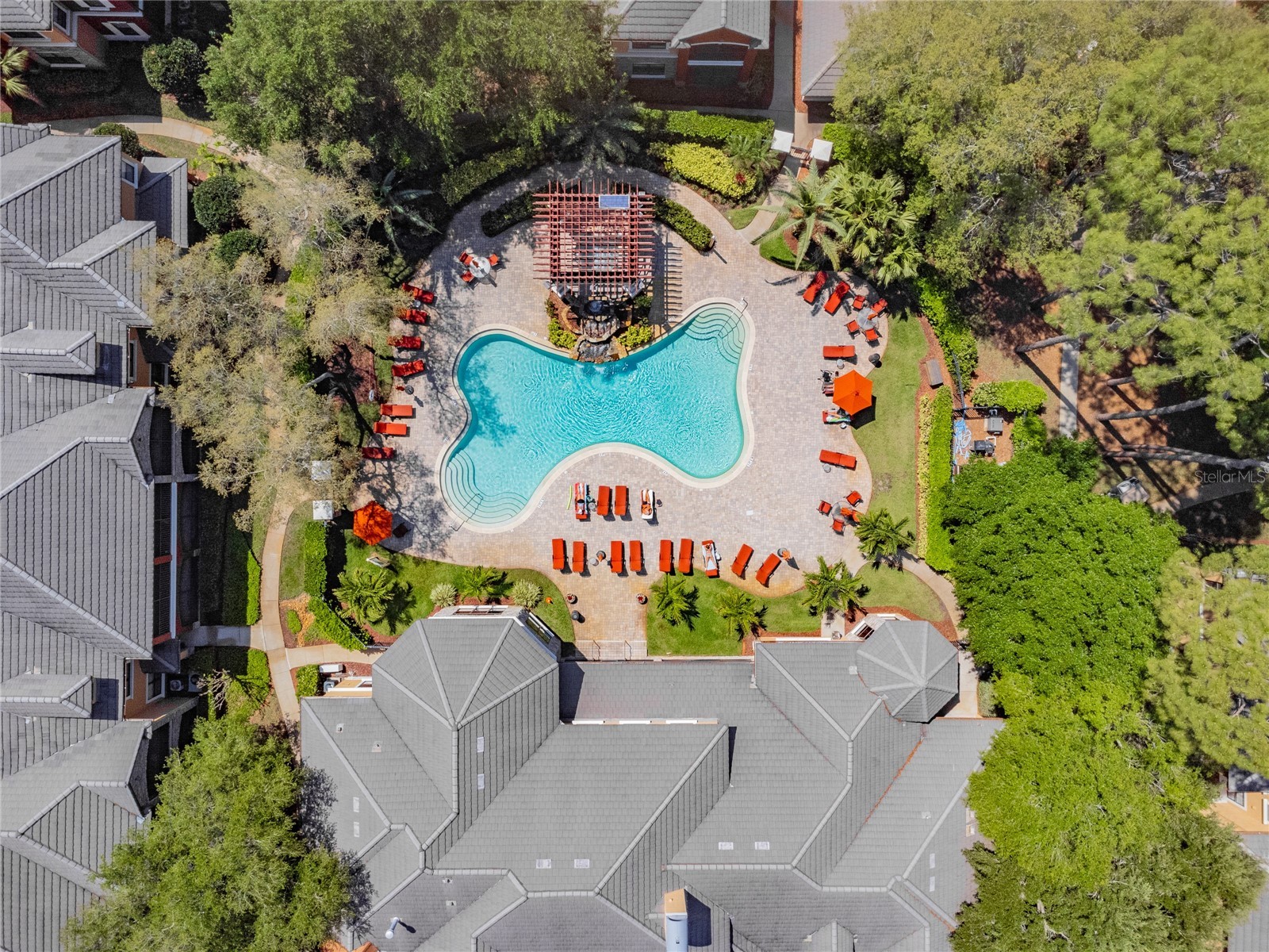 2265 Portofino Place #21-212 Palm Harbor FL 34683 TB8508912 image28
