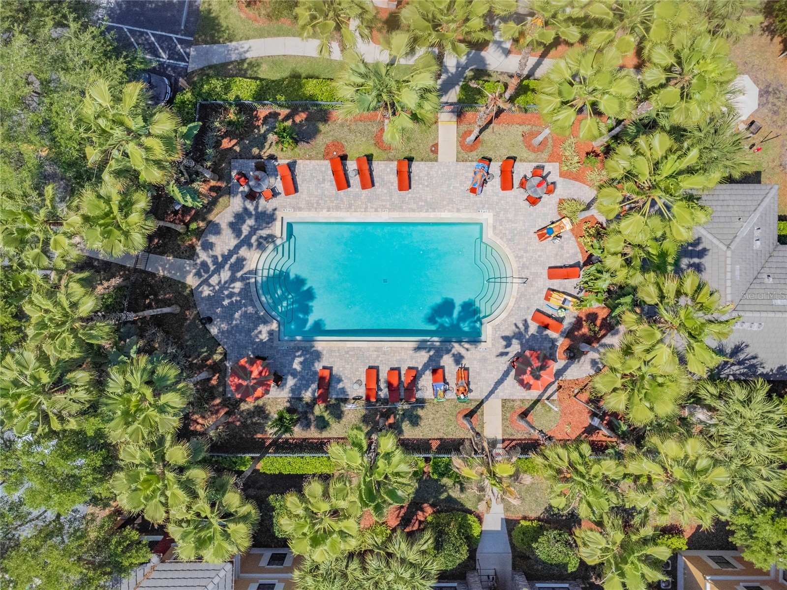 2265 Portofino Place #21-212 Palm Harbor FL 34683 TB8508912 image29